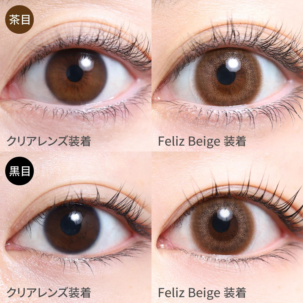 フェリスベージュ 黒目茶目着用画像 ふわっとヌケ感をプラス
