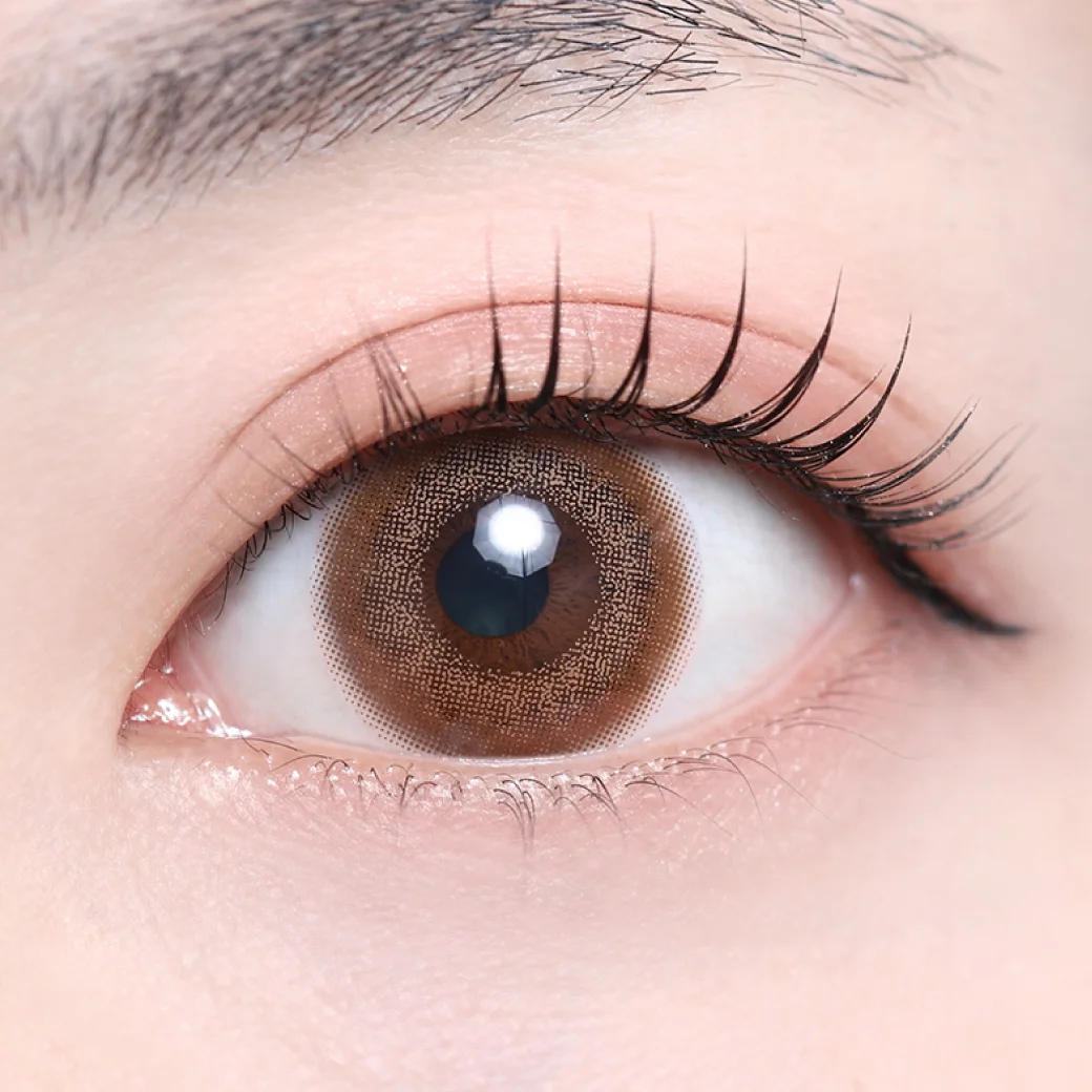 フェリスベージュの着画