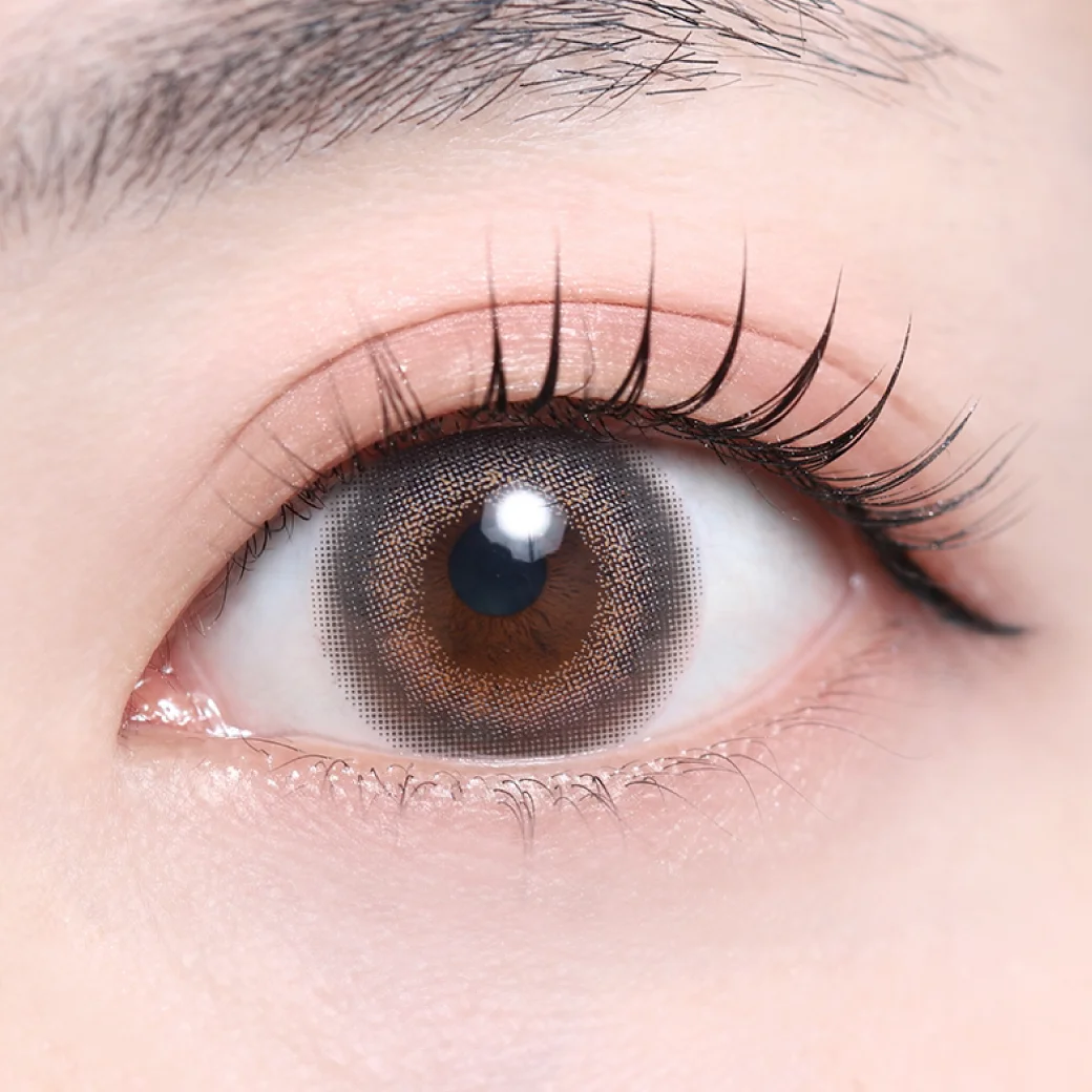 フェリスグレーの着画