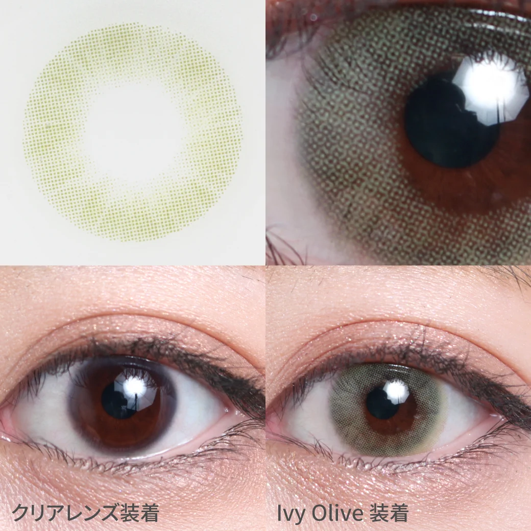 アイビーオリーブ着用画像 神秘的な深みのある、オリーブカラーで、自然な色素薄い系の瞳に