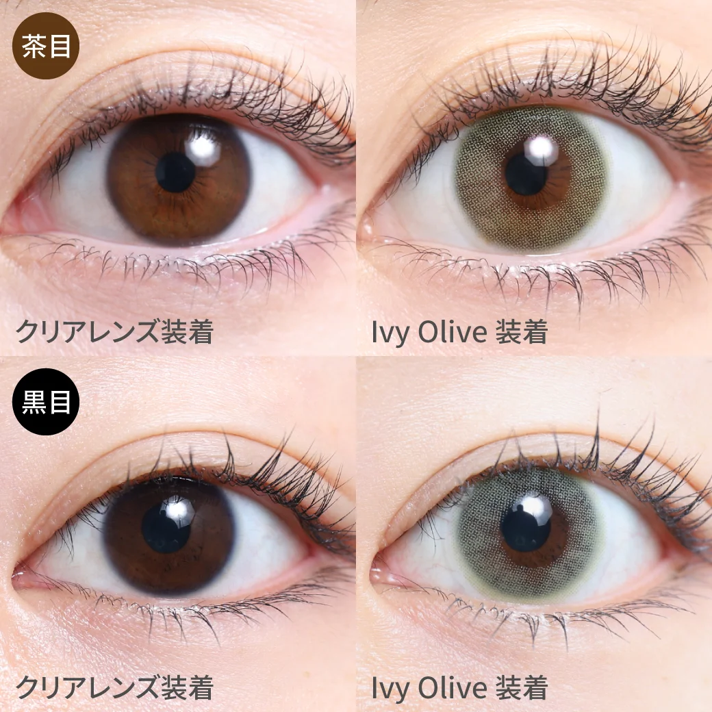 アイビーオリーブ茶目黒目着用画像 神秘的な深みのある、オリーブカラーで、自然な色素薄い系の瞳に