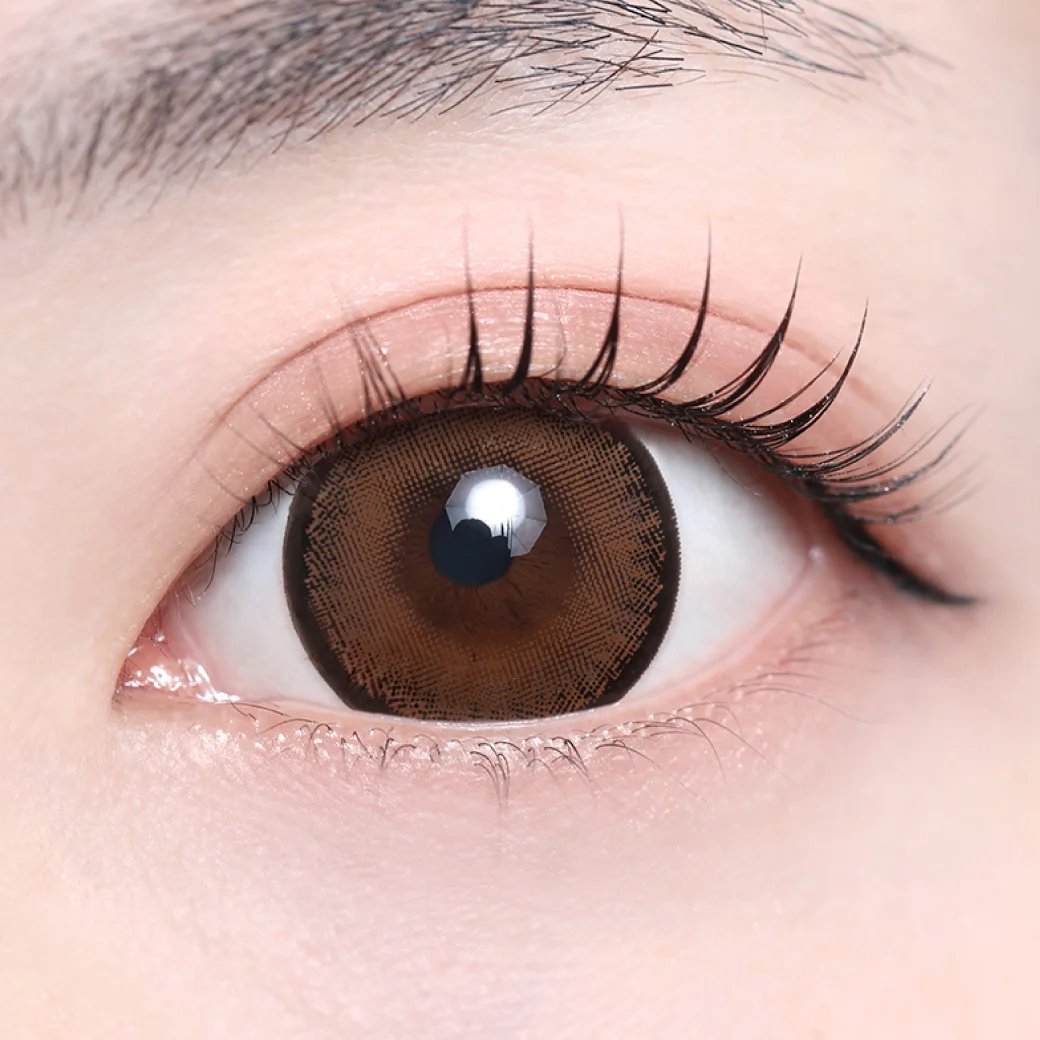 レーシーブラウンの着画