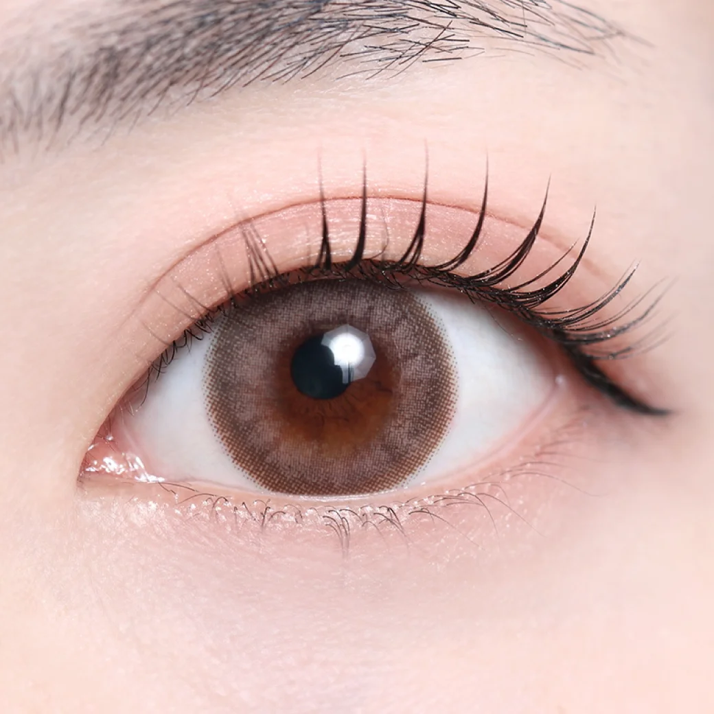 リナブラウンの着画