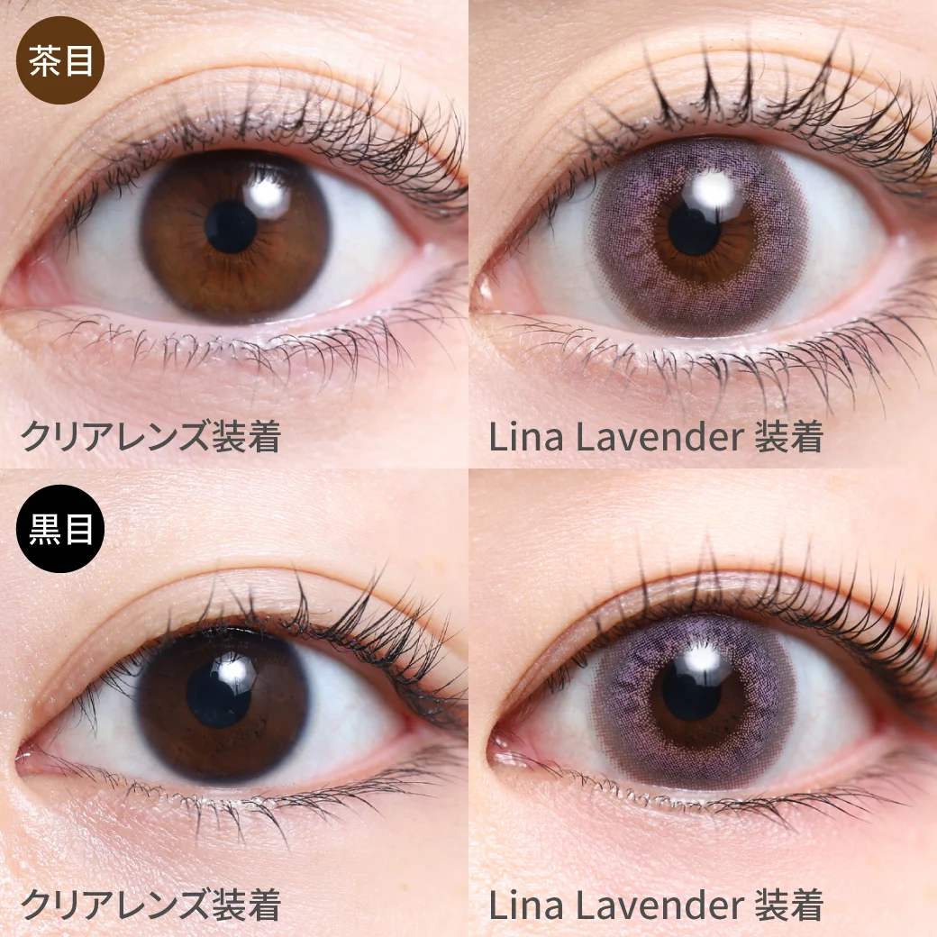 リナラベンダー 黒目茶目着用画像 ほんのり甘め?