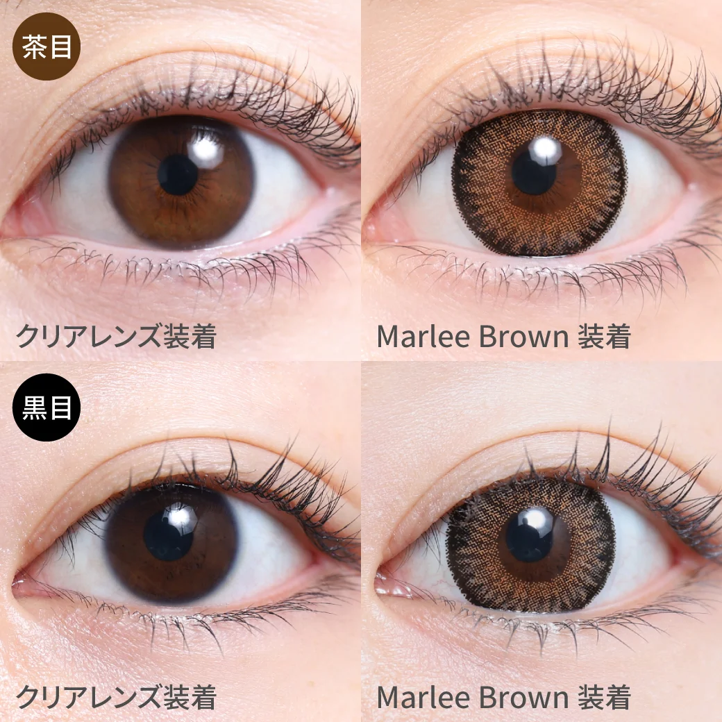 Marlee Brown 着画