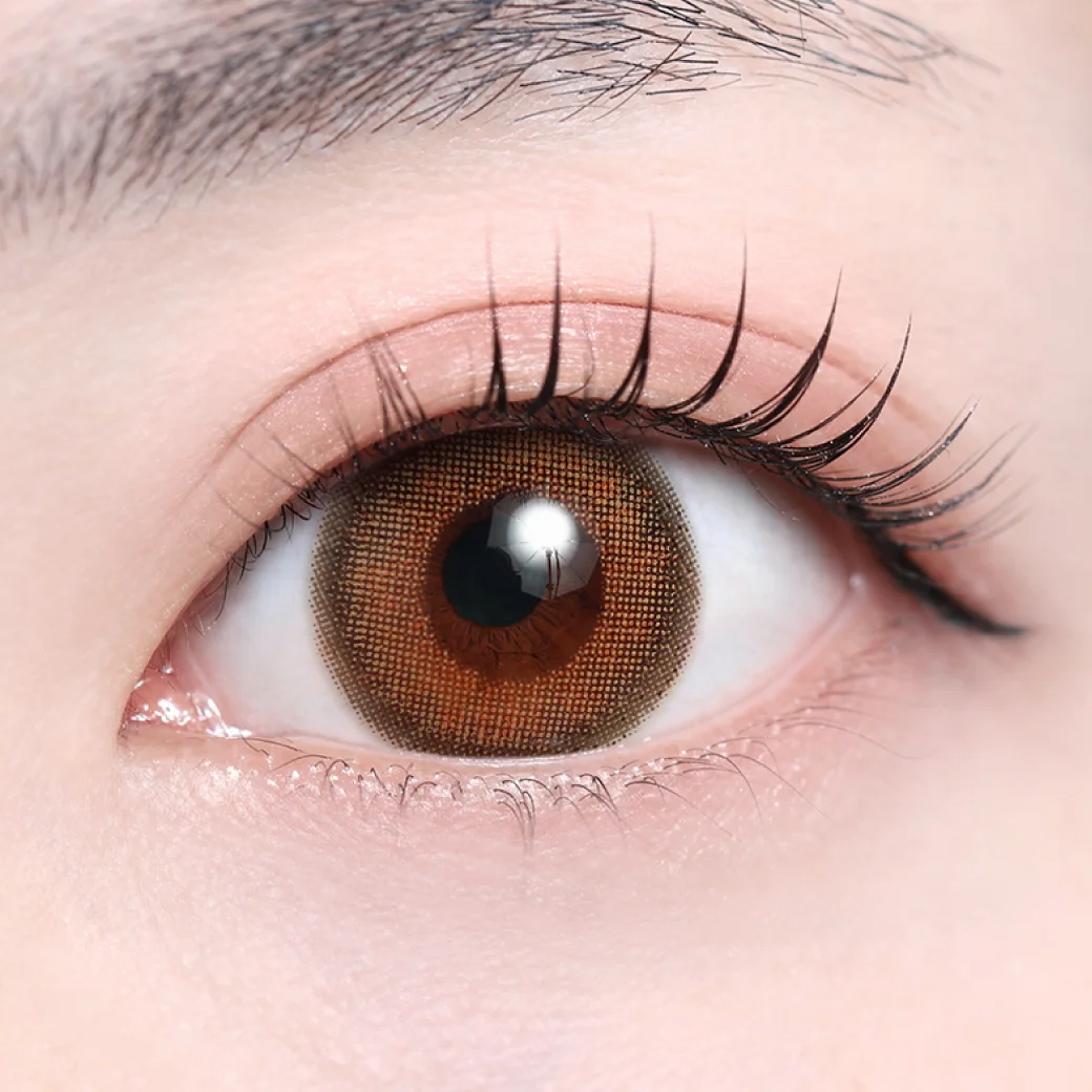 マーマレードヘーゼルの着画