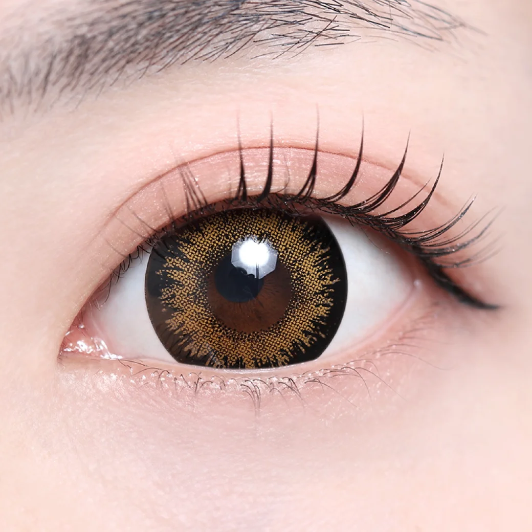 ナヴィブラウンの着画