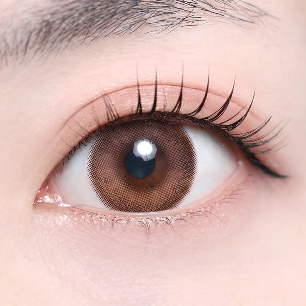 サナブラウンの着画