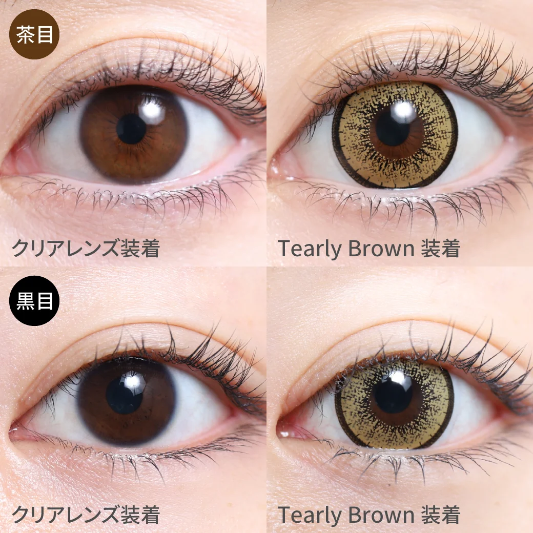 ティアリーブラウン茶目黒目着用画像 　イエローブラウンカラーと程よい太さのフチで、バランスよく盛れる瞳に。