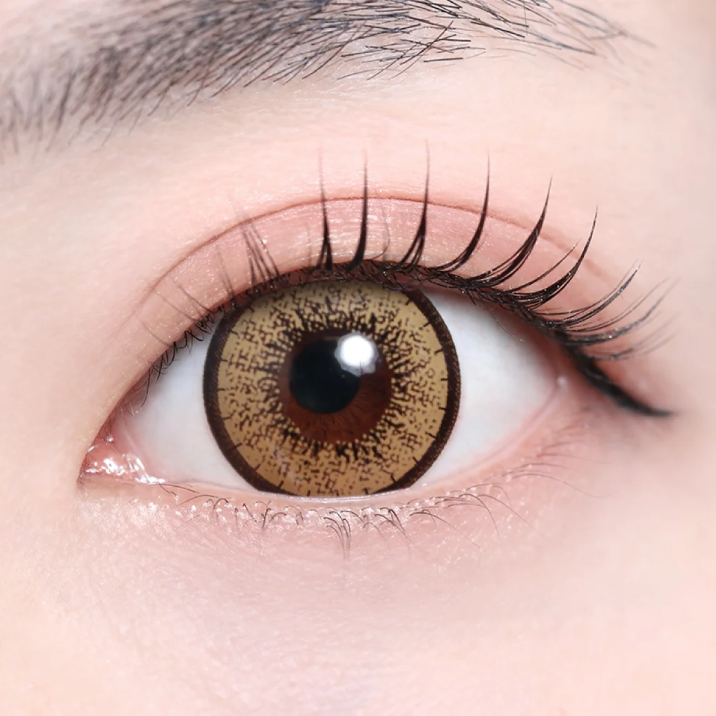 ティアリーブラウンの着画