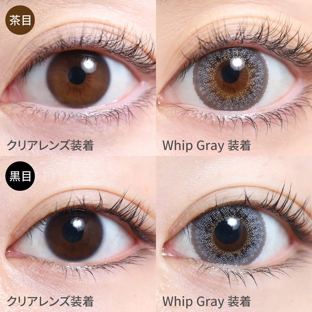 Whip Gray ホイップグレー茶目黒目着用着画 ブラウンのフチで瞳に馴染み 透明感あるグレーカラーはクールな印象を持ち 上品で大人っぽいハーフEYEに