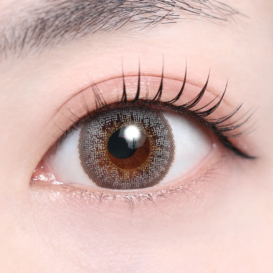 ホイップグレーの着画