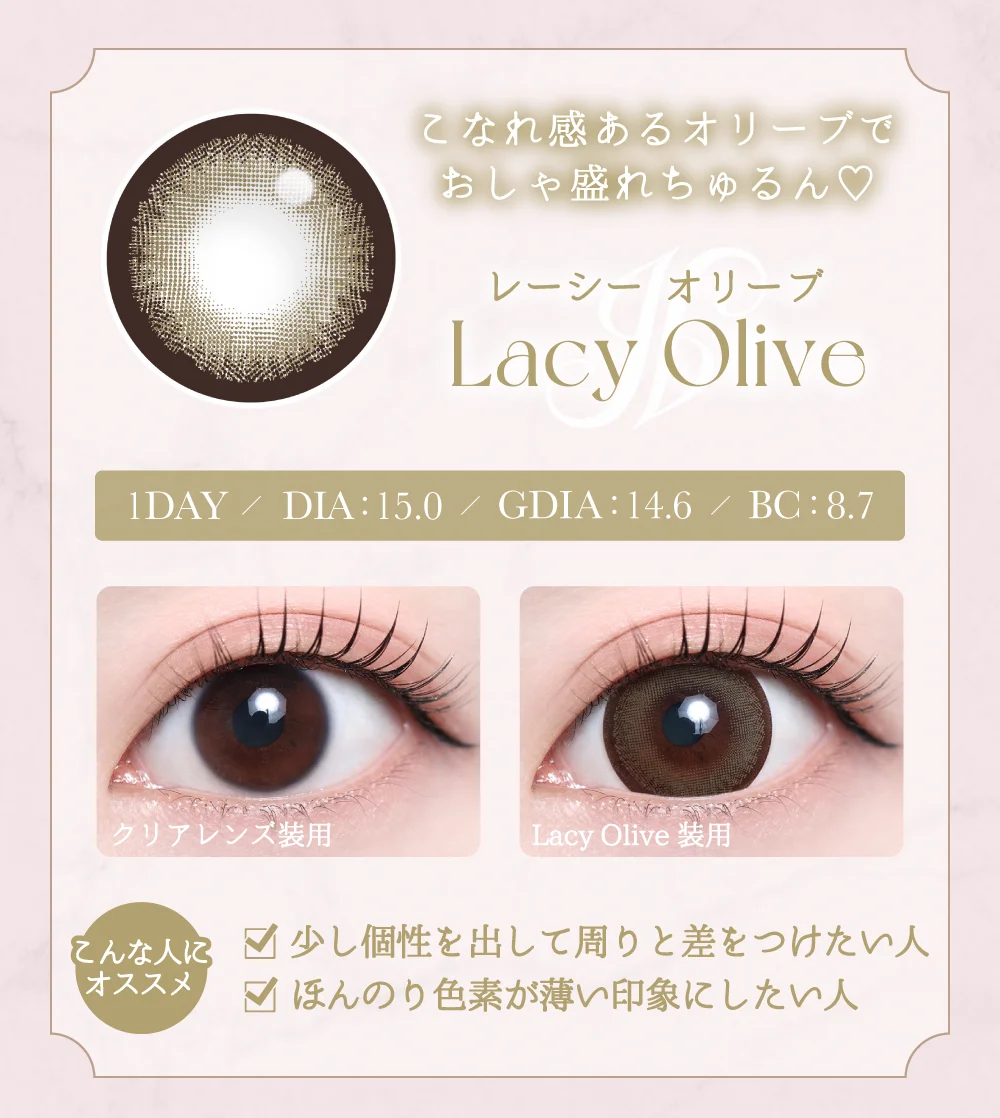 レーシーオリーブ紹介