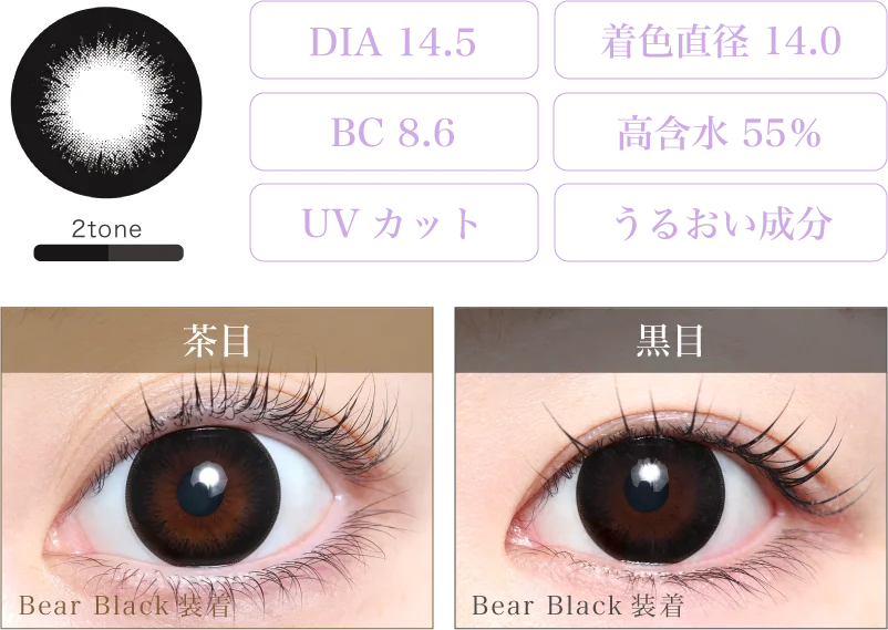 Bear Brown 着画＆スペック