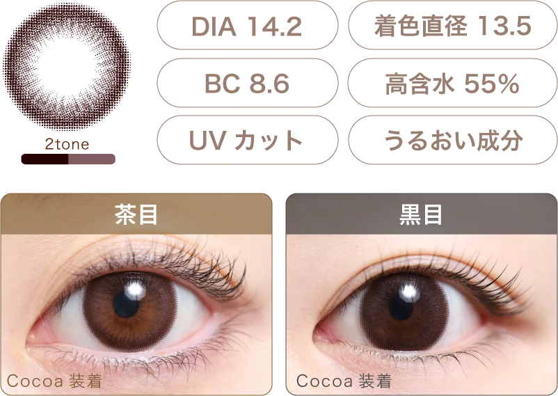Cocoa 着画＆スペック