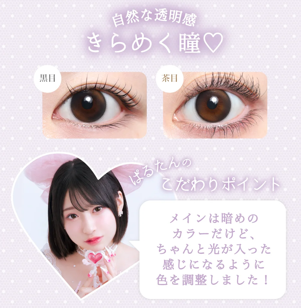 プリズムブラック紹介