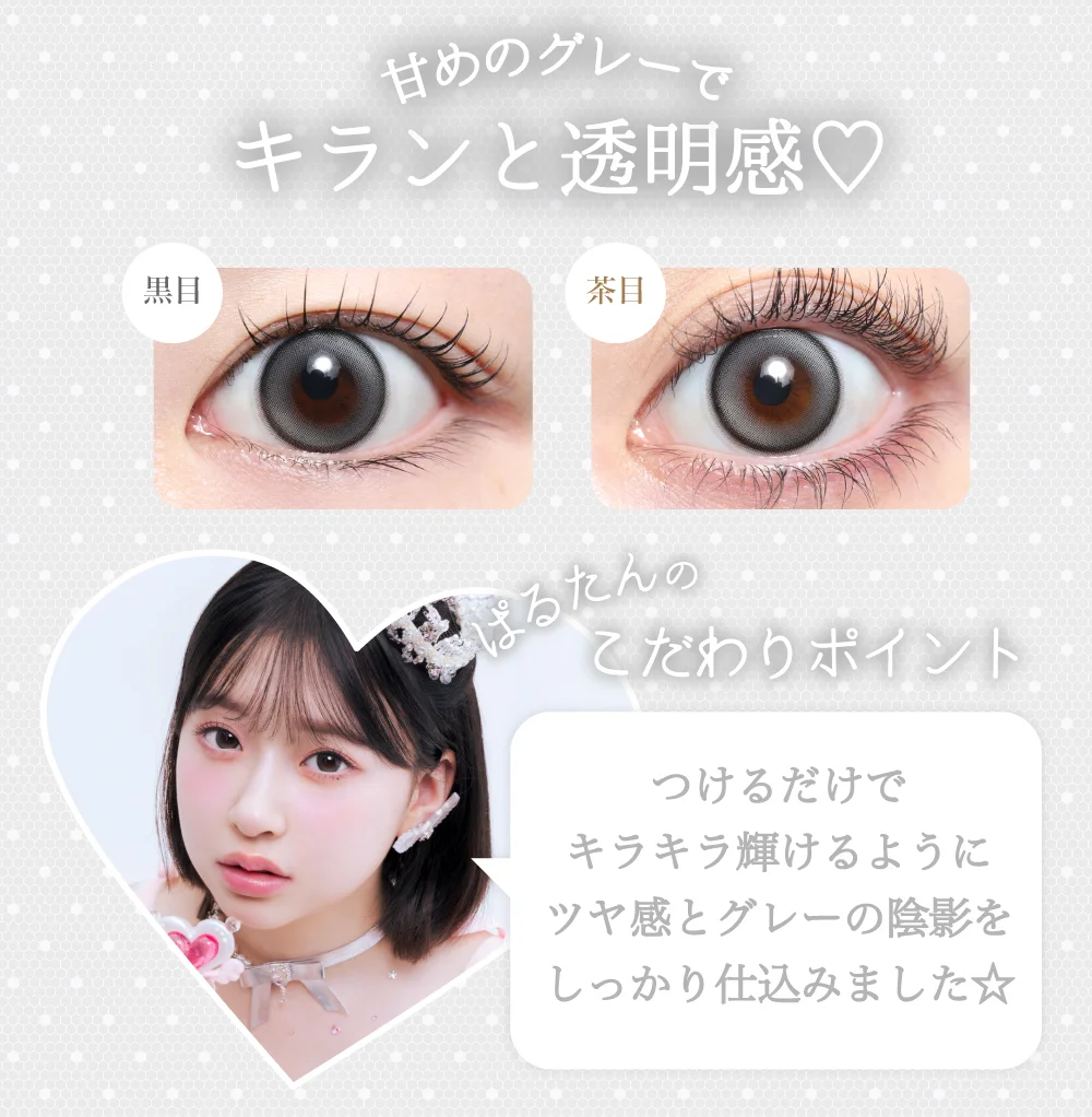 キトゥングレー紹介