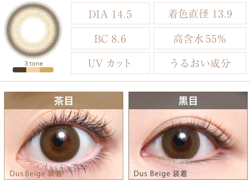 Dus Beige 着画＆スペック