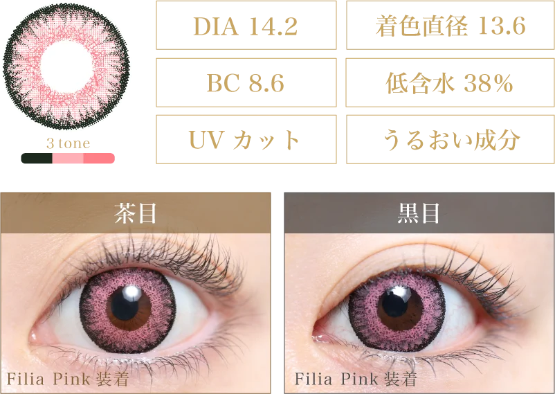 Filia Pink 着画＆スペック