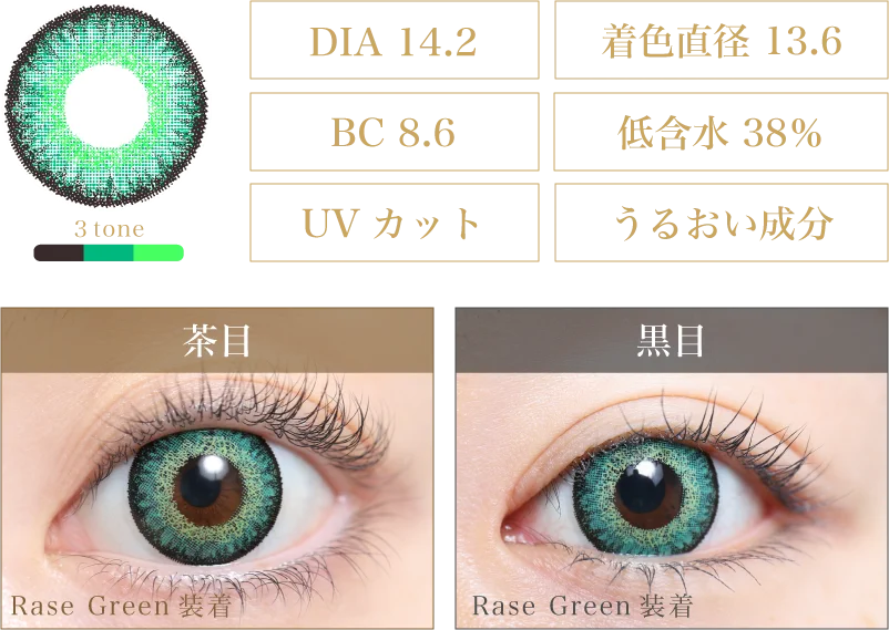 Rase Green 着画＆スペック