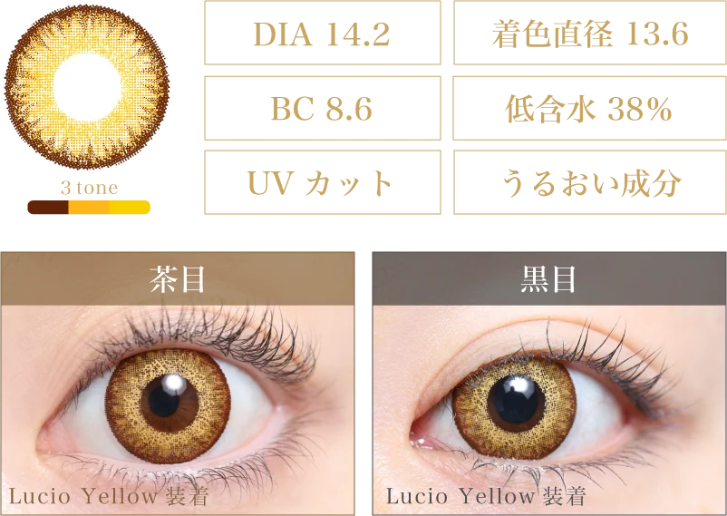 Lucio Yellow 着画＆スペック