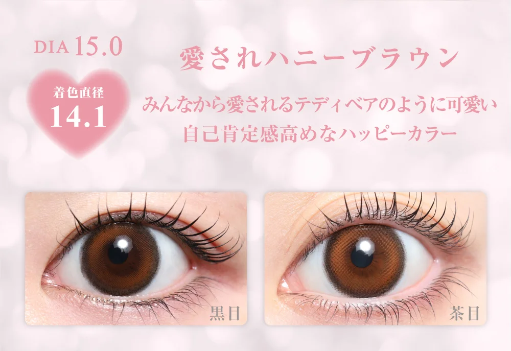 リトルベア紹介