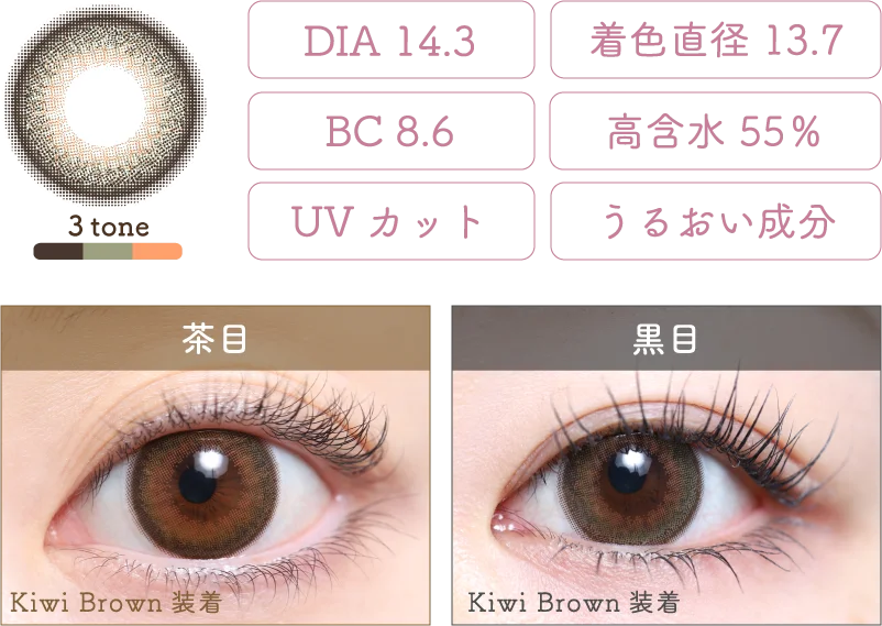 Kiwi Brown 着画＆スペック
