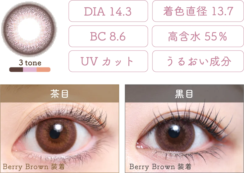 Berry Brown 着画＆スペック