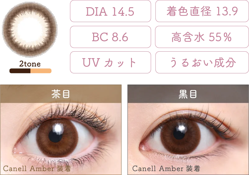 Canell Amber 着画＆スペック