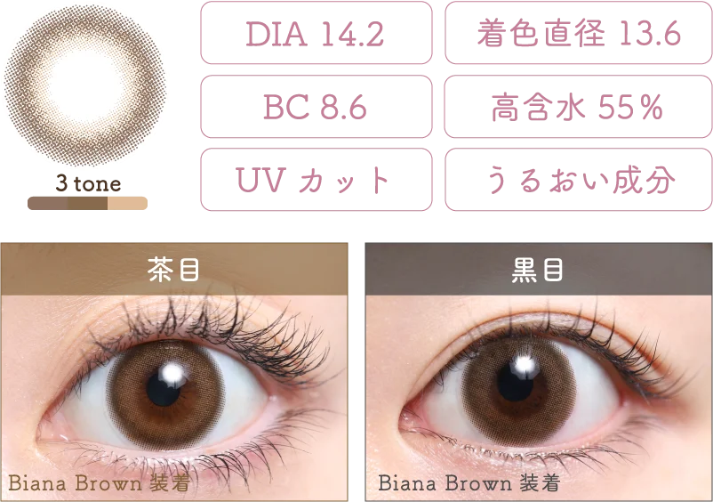 Biana Brown 着画＆スペック