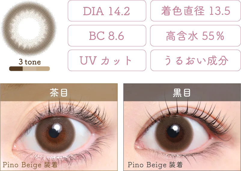 Pino Beige 着画＆スペック