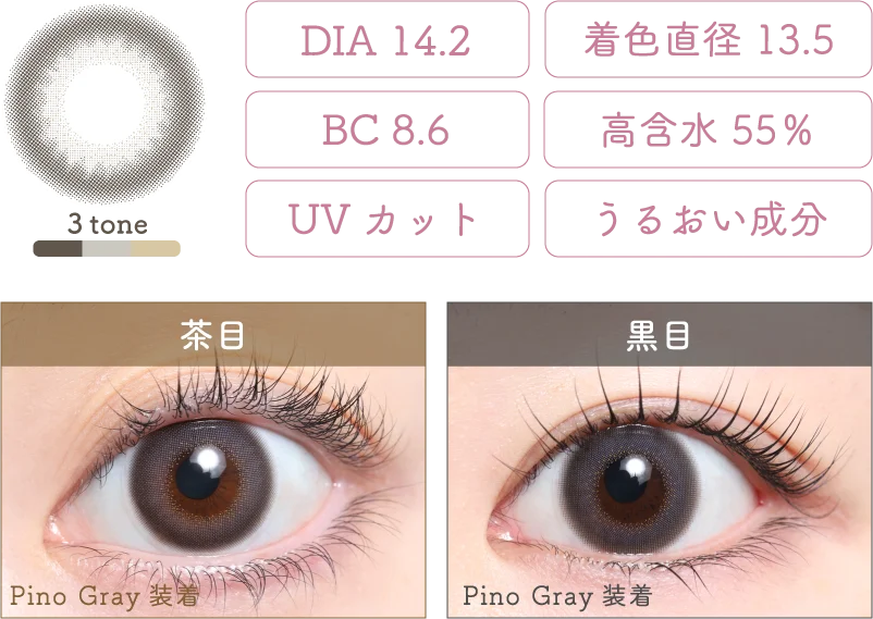 Pino Gray 着画＆スペック