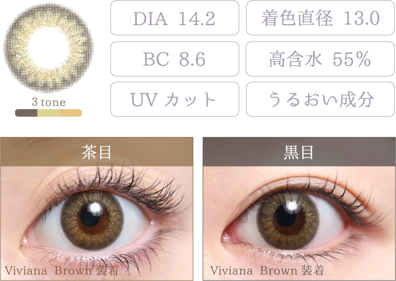 Viviana Brown 着画＆スペック