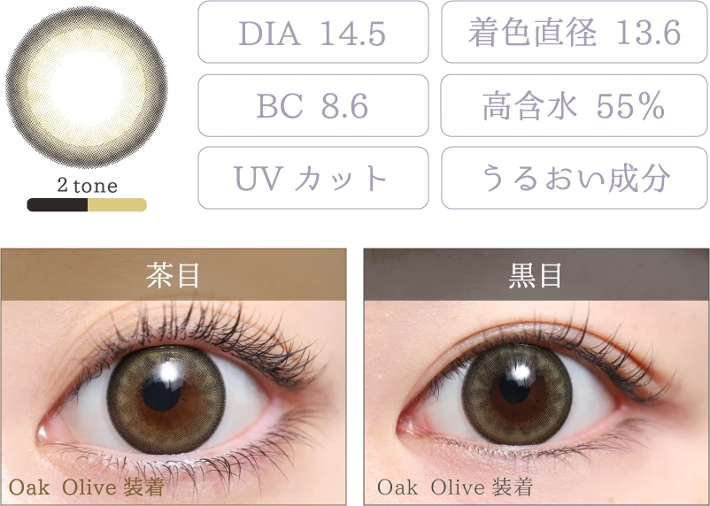 Oak Olive 着画＆スペック