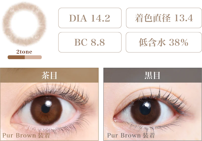 Pur Brown 着画＆スペック