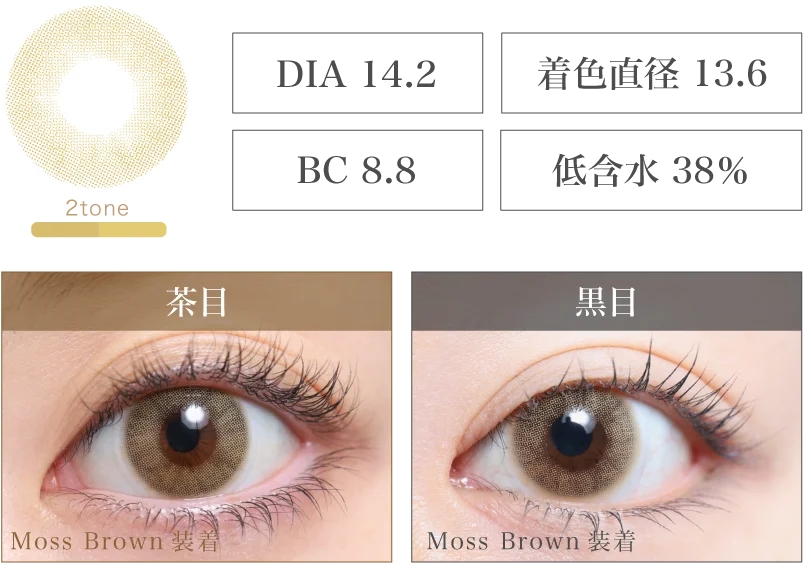 Moss Brown 着画＆スペック