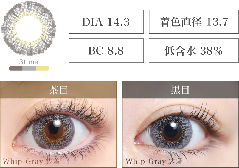 Whip Gray 着画＆スペック