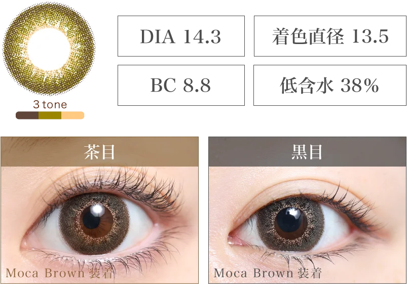 Moca Olive 着画＆スペック
