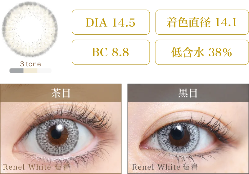 Renel White 着画＆スペック