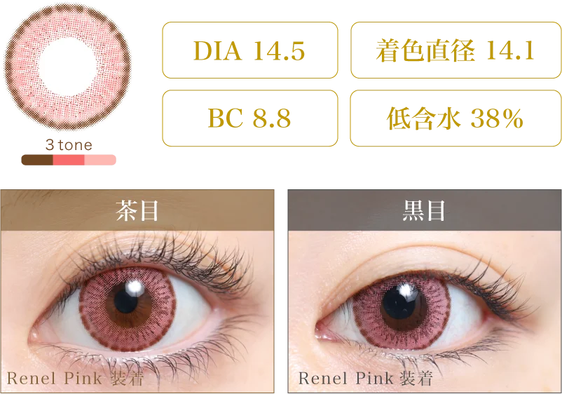 Renel Pink 着画＆スペック