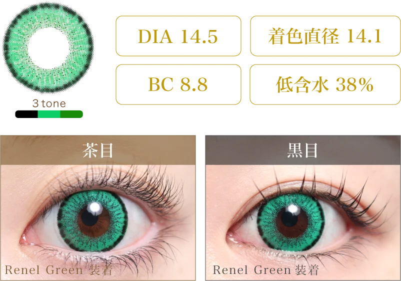 Renel Green 着画＆スペック