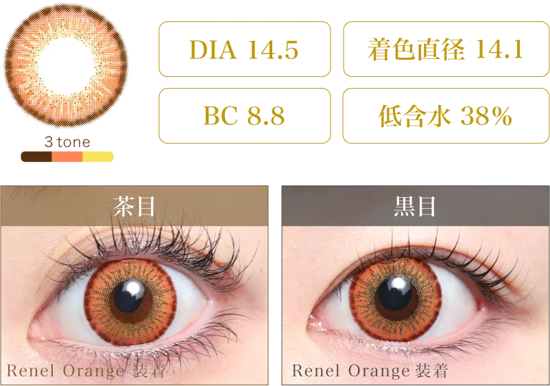Renel Orange 着画＆スペック