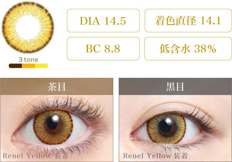 Renel Yellow 着画＆スペック