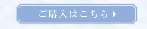 ウィズヒメ購入ボタン2