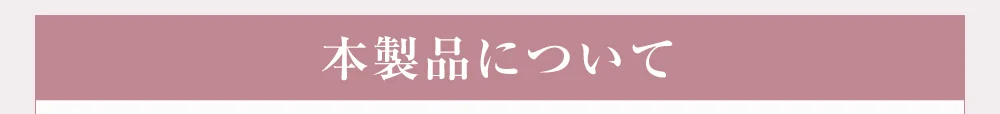 本製品について