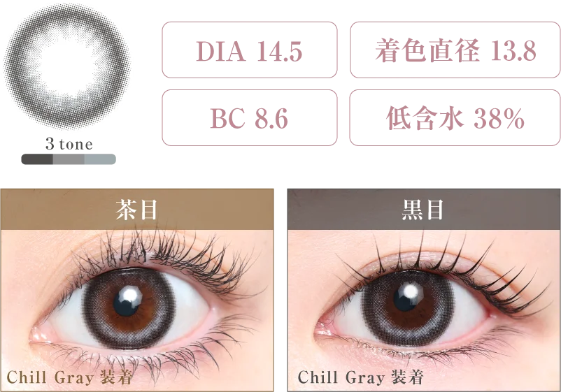 Chill Gray 着画＆スペック