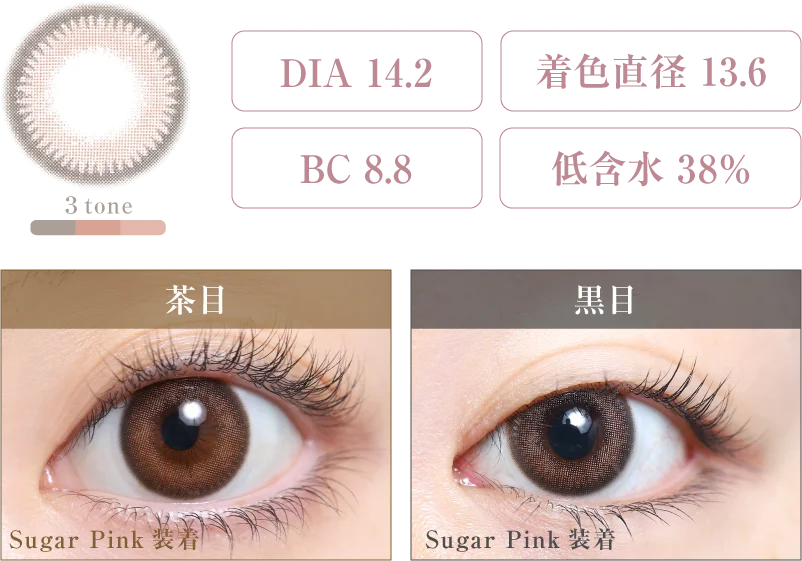 Sugar Pink 着画＆スペック