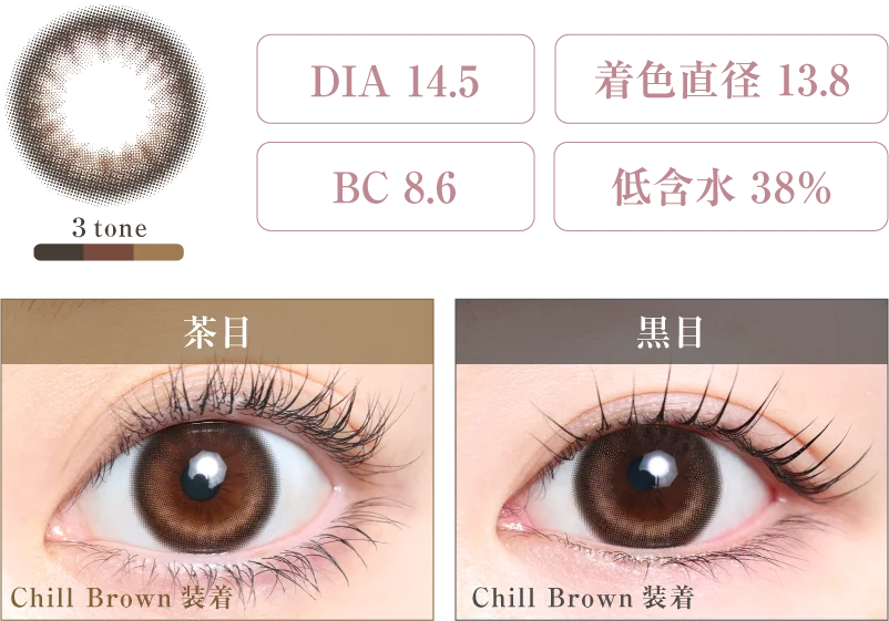Chill Brown 着画＆スペック