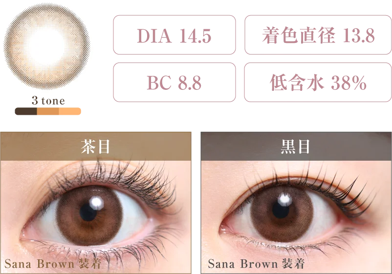 Sana Brown 着画＆スペック