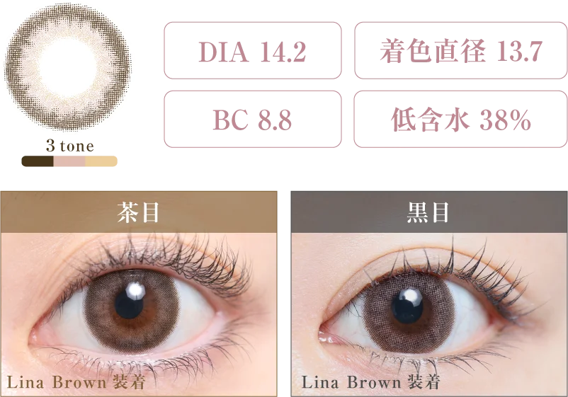 Lina Brown 着画＆スペック